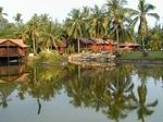 Palafitos en Kampung. Malasia.