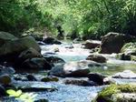 Río Alba - Asturias