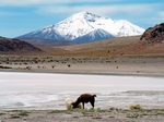 Volcán Ollagüe