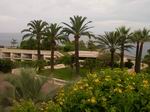 Jardines