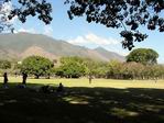 Parque del Este. Caracas.