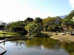 Parque del Este. Caracas.