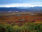 Tundra de Alaska - USA