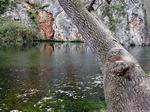 Monasterio de Piedra. Aragón - España