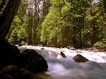 Parque Yosemite. USA