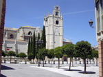 Catedral de Palencia.