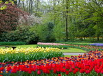 Parque en Keukenhof. Holanda.