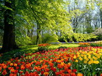 Parque en Keukenhof. Holanda.