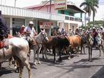 Feria de Ganado