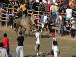 Fiesta de toros