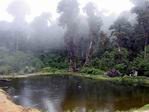 Laguna en la jungla