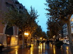 Avenida de la Paz. Logroño. La Rioja.