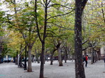 Glorieta del Doctor Zubia. Logroño. La Rioja.