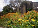 Jardín oriental