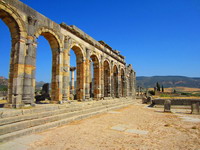 Ruinas de Volubilis. Meknés.