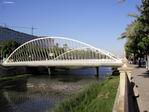 Puentes de Santiago Calatrava sobre el río Segura. Murcia.