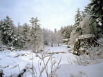 Paisaje nevado.