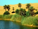 Oasis. Libia