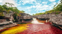 Caño Cristales. Colombia.