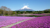 Monte Fujiyama. Japón.