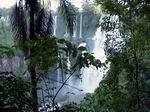 Cataratas del Iguazú