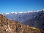 Barranca de Chivay.