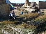 Construccin de barcos junto al lago Titicaca.