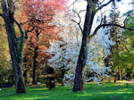 Parque en Kornik.