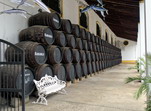 Bodega. Sanlúcar de Barrameda.