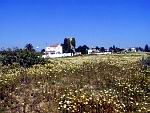 Primavera en Conil de la Frontera