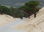 Acceso a duna Punta Paloma. Tarifa - Cádiz