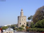 Torre del Oro - Sevilla