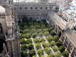 Patio de los Naranjos de la Catedral de Sevilla.