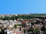 Vista del Alcázar desde la Giralda.