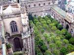 Patio de los Naranjos de la Catedral