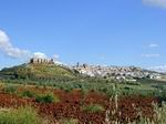 Panorámica de Baños de la Encina