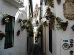 Calle típica cordobesa.