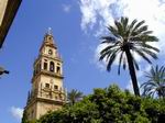 Torre de la Catedral-Mezquita, desde el Patio de los Naranjos - Córdoba