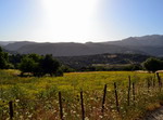 Serranía de Ronda.