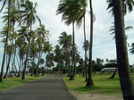 Isla de Cabras. Palo Seco.