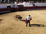 Sobrino de Antonio, físico, toreando una vaquilla