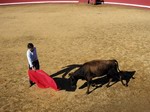 Sobrino de Antonio, físico, toreando una vaquilla