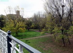 Otoño junto al Ebro. Logroño. La Rioja.