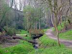 Paisaje campestre. Santander.