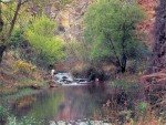 Cañón de Caracena - Soria