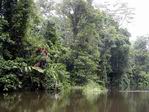 Paisaje en Tortuguero