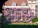 Jardín en la Universidad de Cambridge.