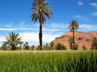 Valle del Draa. Uarzazate.