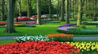 Parque en Keukenhof. Holanda.