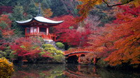 Jardín en Kyoto. Japón.